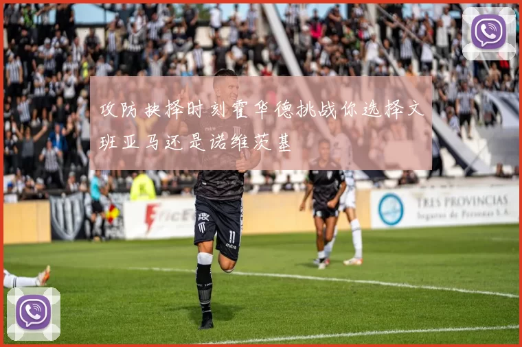 攻防抉择时刻霍华德挑战你选择文班亚马还是诺维茨基